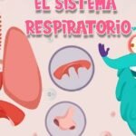 7 acciones útiles para cuidar tu sistema respiratorio